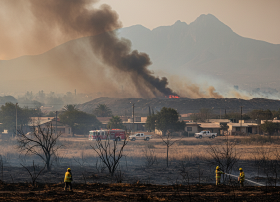 Incendios Nuevo León agro
