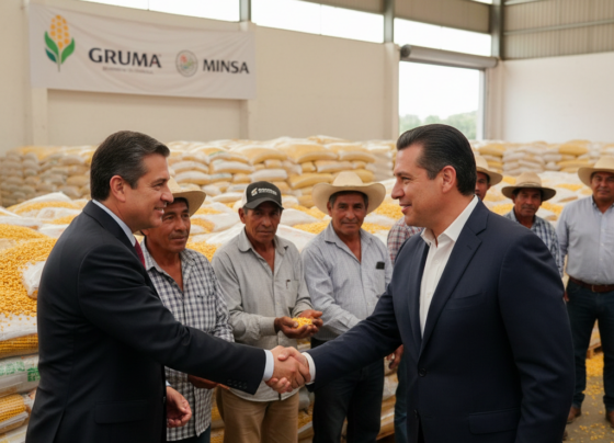 Gobierno compra maíz