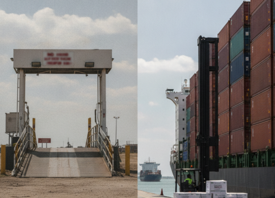 Exportación ganado México