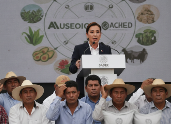 productores agropecuarios distorsiones