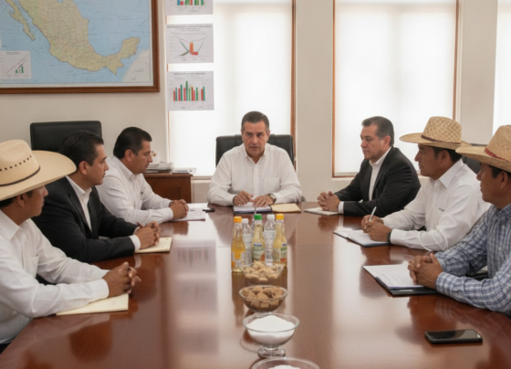 azúcar nacional agroindustria