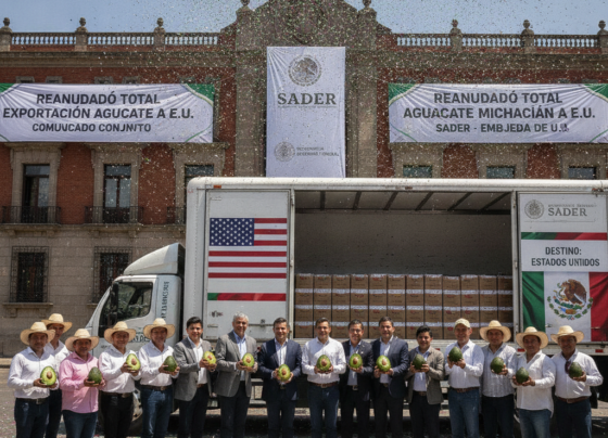 Exportación aguacate Michoacán