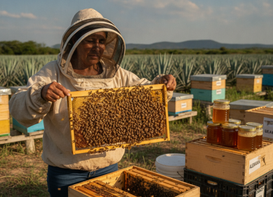 miel México exportación