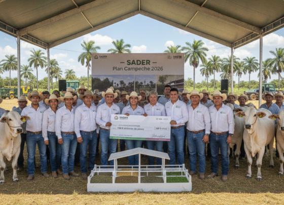 apoyos ganaderos Campeche